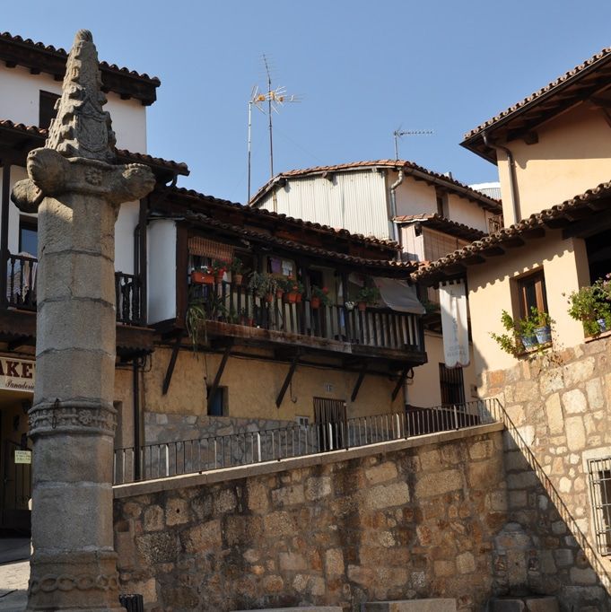 VALVERDE DE LA VERA 21 Picota de Valverde de la Vera