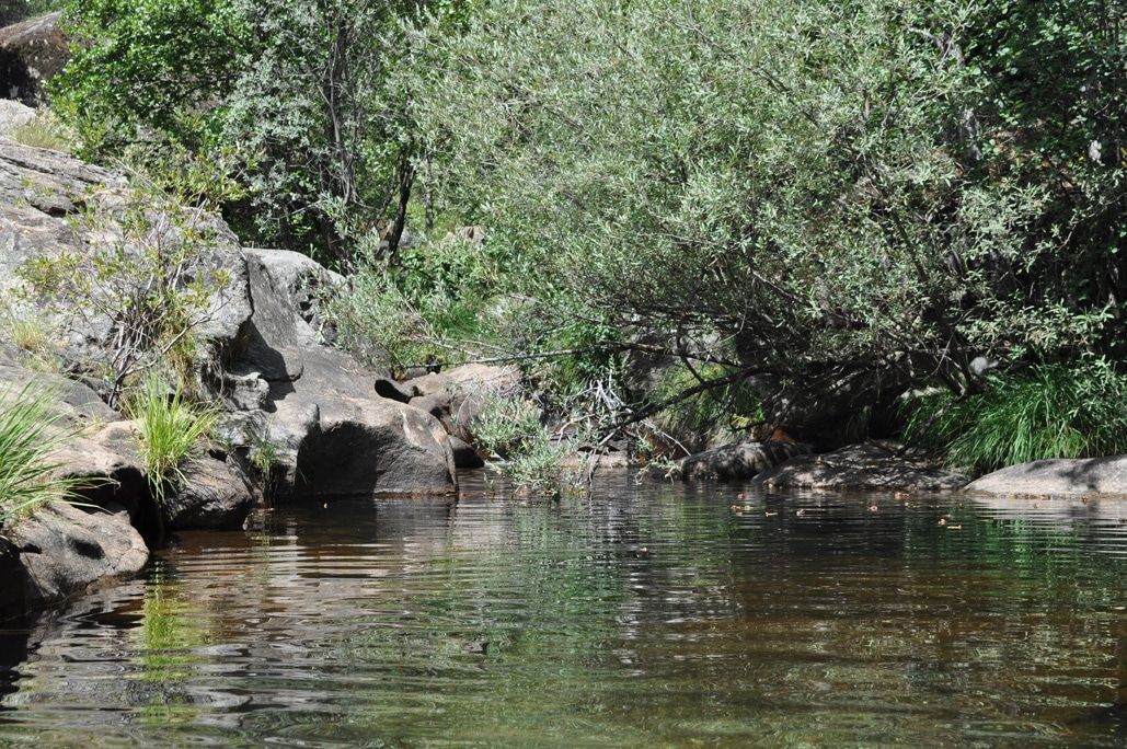 Garganta de Gualtaminos (III) Veragua ocio, apartamentos turísticos